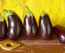 SeedsNow Eggplant - Blackbeauty